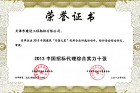 招标代理综合实力十强2013