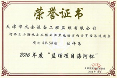监理海河杯（2016年）