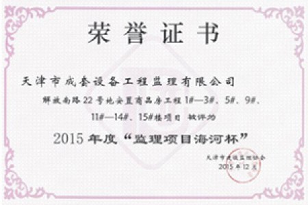 监理海河杯3（2015年）