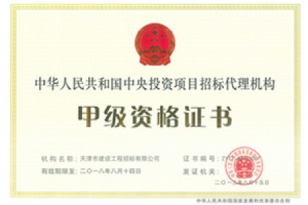 中央投资甲级资质正本