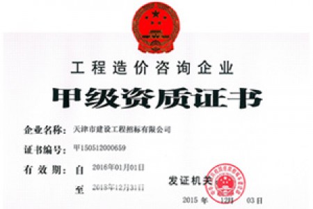造价咨询甲级资质正本