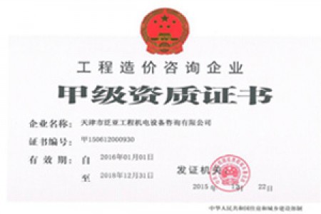 造价咨询甲级